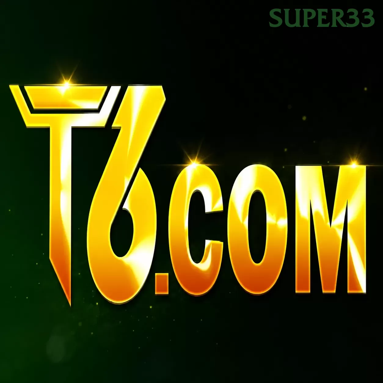 T6
